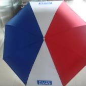 Fold Umbrella